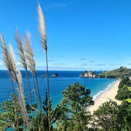 Hahei Views Villa Bagian luar foto