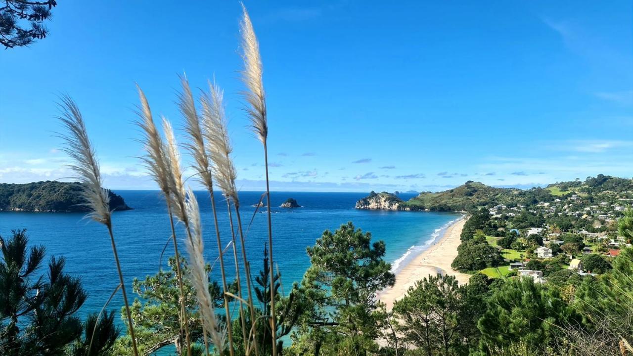Hahei Views Villa Bagian luar foto